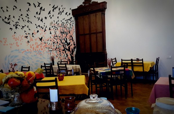 Interview with the founder of Kiwi Vegan Café – the first vegan place in Tbilisi geotv.ge